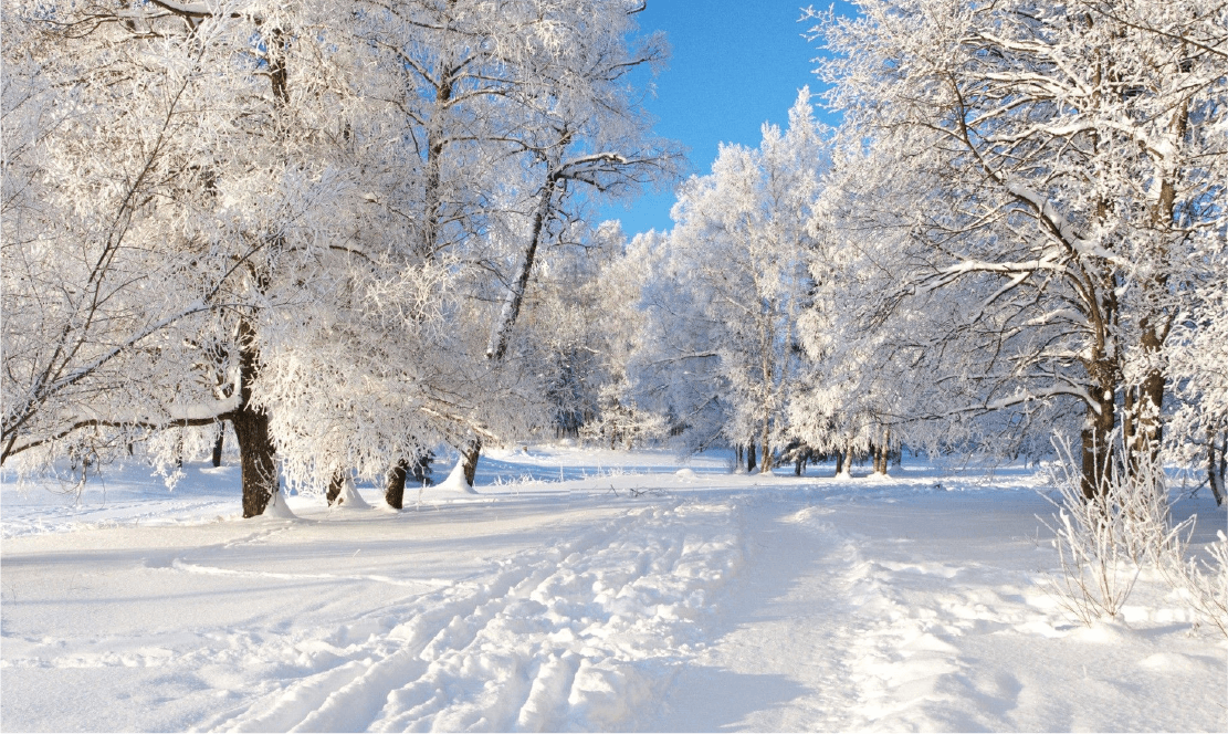 Snow